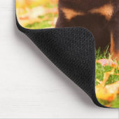 Rottweiler Puppy Sitting in Autumn Leaves Muismat (Hoek)