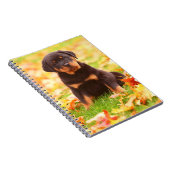 Rottweiler Puppy Sitting in Autumn Leaves Notitieboek (Rechterzijde)