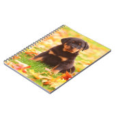 Rottweiler Puppy Sitting in Autumn Leaves Notitieboek (Linkerzijde)