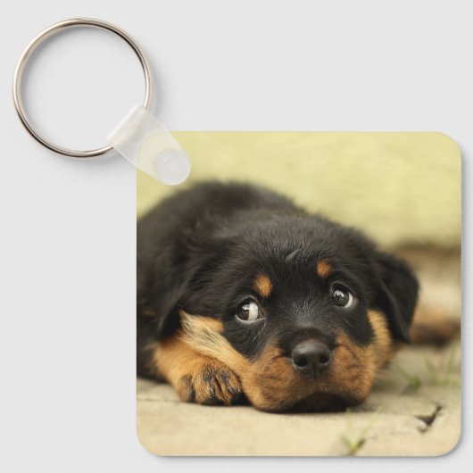 Rottweiler Puppy Sleutelhanger (Voorkant)
