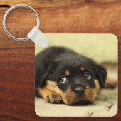 Rottweiler Puppy Sleutelhanger (Voorkant)