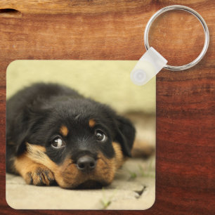Rottweiler Puppy Sleutelhanger