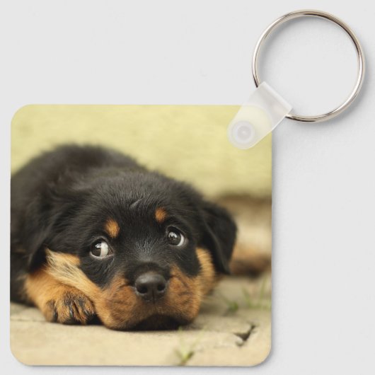 Rottweiler Puppy Sleutelhanger (Achterkant)
