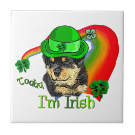 Rottweiler Puppy St. Pattys Tegeltje