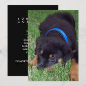 rottweiler pups kaart (Voorkant / Achterkant)