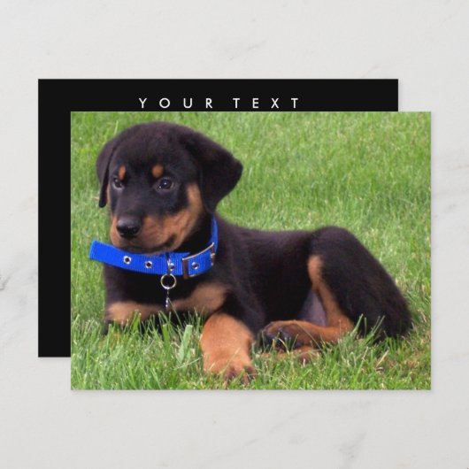 rottweiler pups kaart (Voorkant / Achterkant)