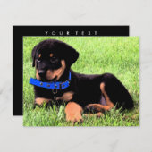 rottweiler pups kaart (Voorkant / Achterkant)