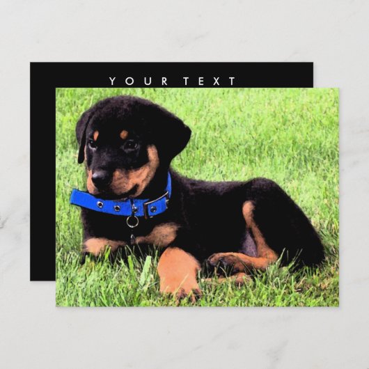 rottweiler pups kaart (Voorkant / Achterkant)