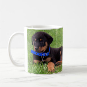 rottweiler pups. koffiemok
