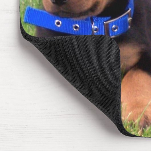 rottweiler pups. muismat (Hoek)