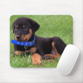rottweiler pups. muismat (Met muis)