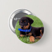 rottweiler pups ronde button 5,7 cm (Voorkant /achterkant)
