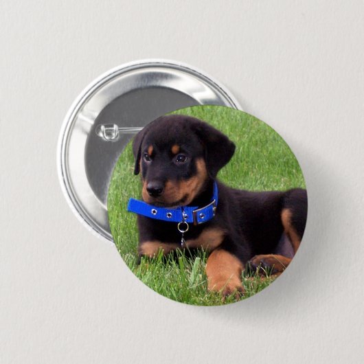 rottweiler pups ronde button 5,7 cm (Voorkant /achterkant)