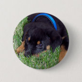 rottweiler pups ronde button 5,7 cm (Voorkant)