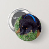 rottweiler pups ronde button 5,7 cm (Voorkant /achterkant)