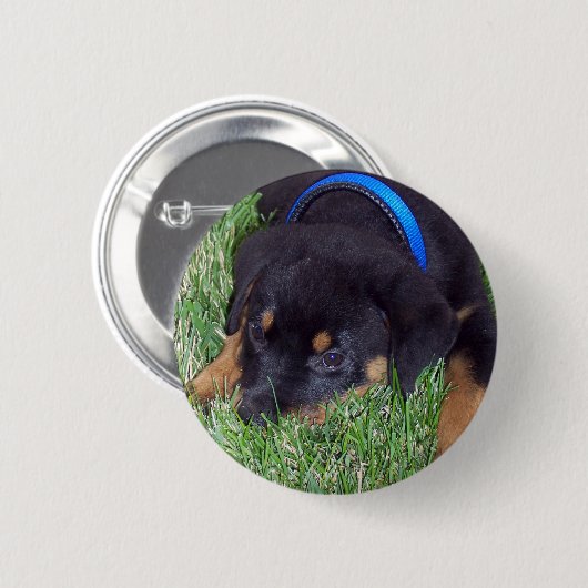 rottweiler pups ronde button 5,7 cm (Voorkant /achterkant)