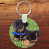 rottweiler pups. sleutelhanger (Voorkant)