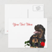 Rottweiler Red Rose Valentijn Design Feestdagenkaart (Voorkant / Achterkant)