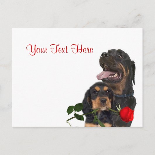 Rottweiler Red Rose Valentijn Design Feestdagenkaart (Voorkant)