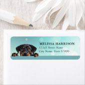 Rottweiler Return Address Labels (Insitu)