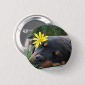 Rottweiler Ronde Button 5,7 Cm (Voorkant /achterkant)