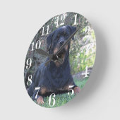 Rottweiler Ronde Klok (Hoek)