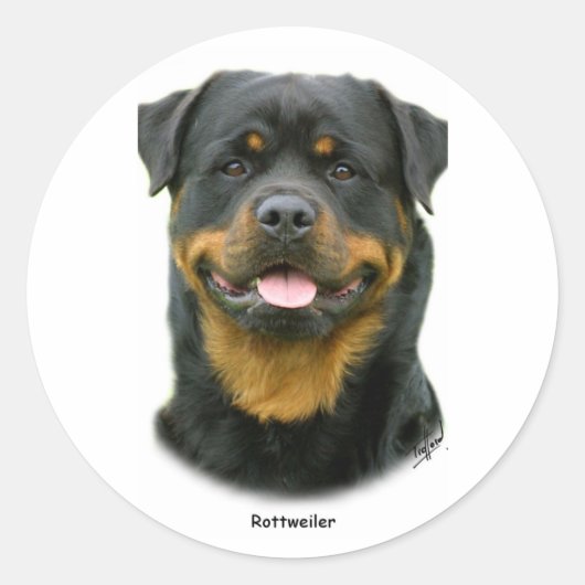 Rottweiler Ronde Sticker (Voorkant)