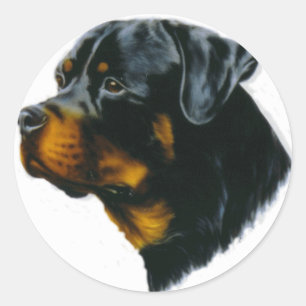 rottweiler ronde sticker