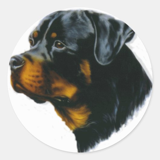 rottweiler ronde sticker (Voorkant)
