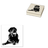 Rottweiler Rubberstempel (Gestempeld)