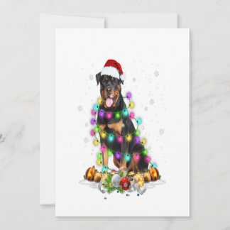 rottweiler santa christmas tree lights xmas gifts aankondiging
