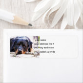 rottweiler schattig etiket (Insitu)