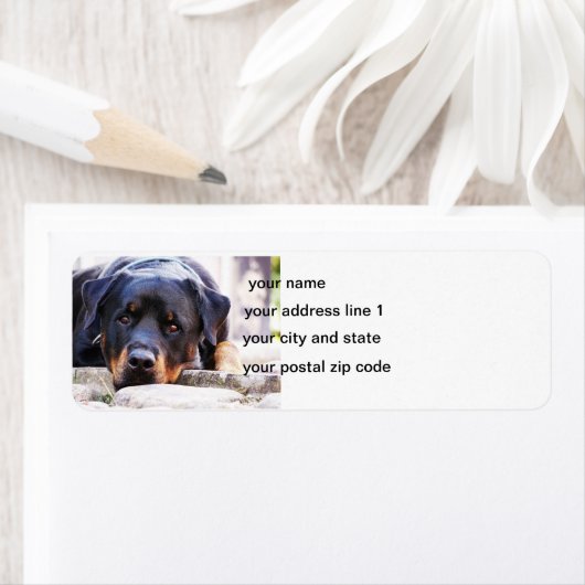 rottweiler schattig etiket (Insitu)