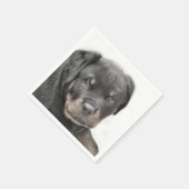 Rottweiler Servet (Hoek)