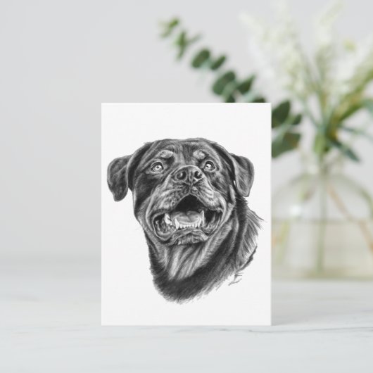 Rottweiler Sketch Briefkaart (Staand voorkant)