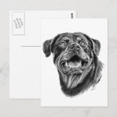 Rottweiler Sketch Briefkaart (Voorkant / Achterkant)