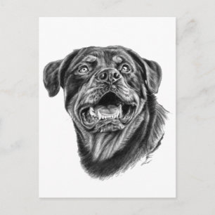 Rottweiler Sketch Briefkaart