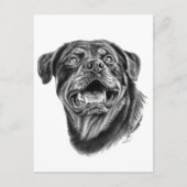 Rottweiler Sketch Briefkaart (Voorkant)