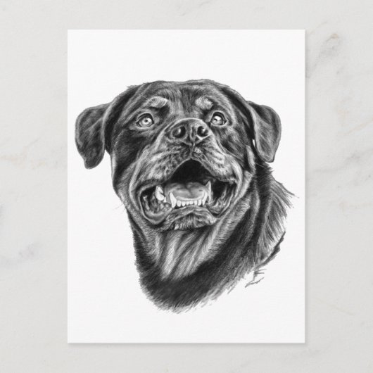 Rottweiler Sketch Briefkaart (Voorkant)