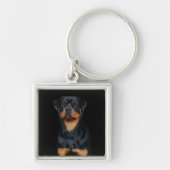 Rottweiler  sleutelhanger (Voorkant)