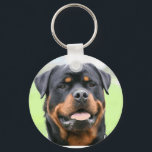 rottweiler sleutelhanger<br><div class="desc">rottweiler</div>