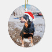Rottweiler Snow Christmas Holiday Ornament (Links)
