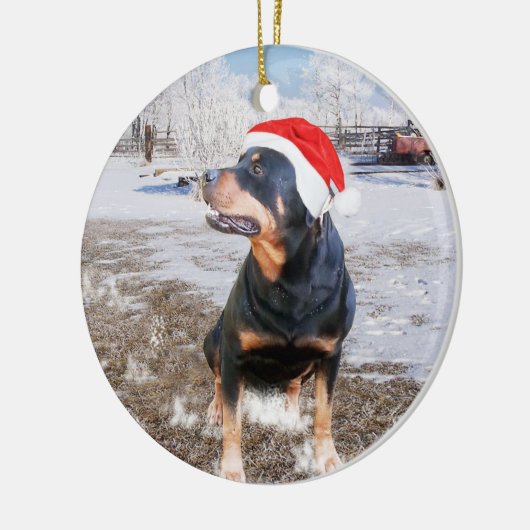 Rottweiler Snow Christmas Holiday Ornament (Links)
