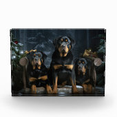 Rottweiler Snowy Sleigh Kerst Decor Fotoblokken (Voorkant)