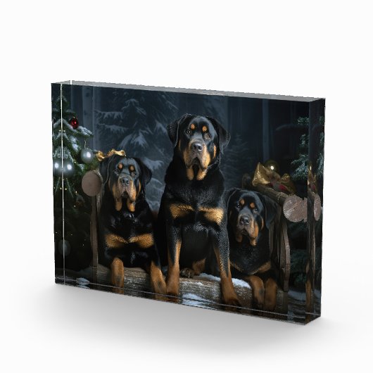 Rottweiler Snowy Sleigh Kerst Decor Fotoblokken (Rechts)