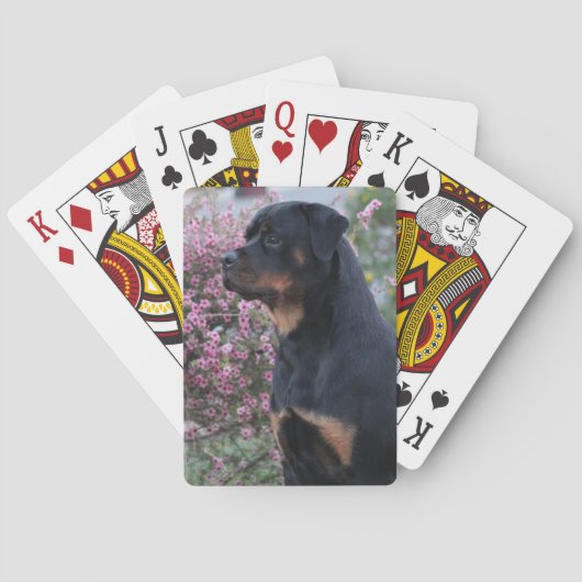 Rottweiler Speelkaarten (Achterkant)