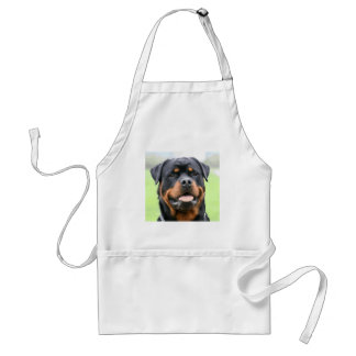 rottweiler standaard schort