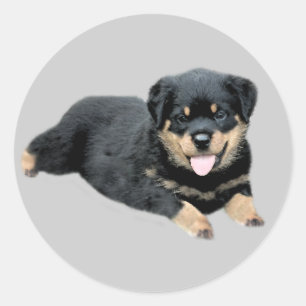 Rottweiler Sticker