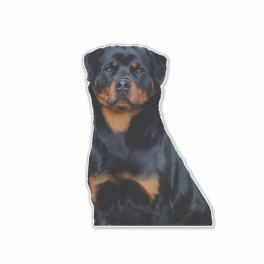 Rottweiler  sticker (Voorkant)