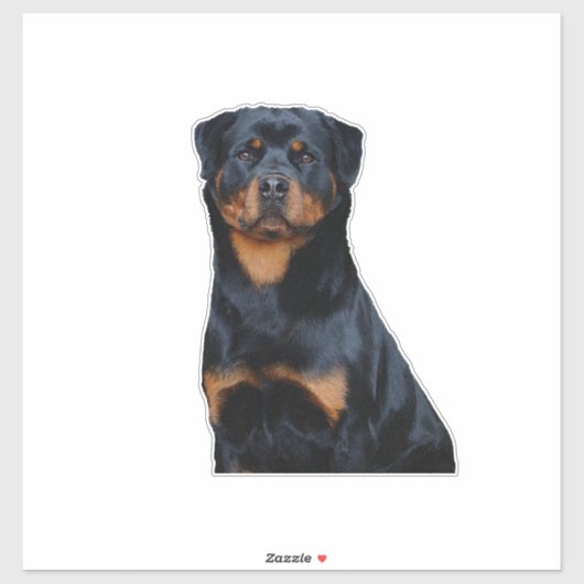 Rottweiler  sticker (Vel)